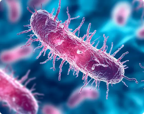Close-up of bacteria growing inside a trash bin