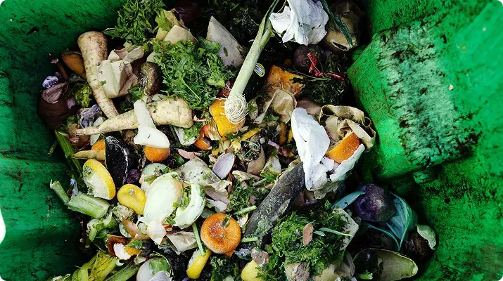 Rotting food waste and liquid buildup in a trash bin